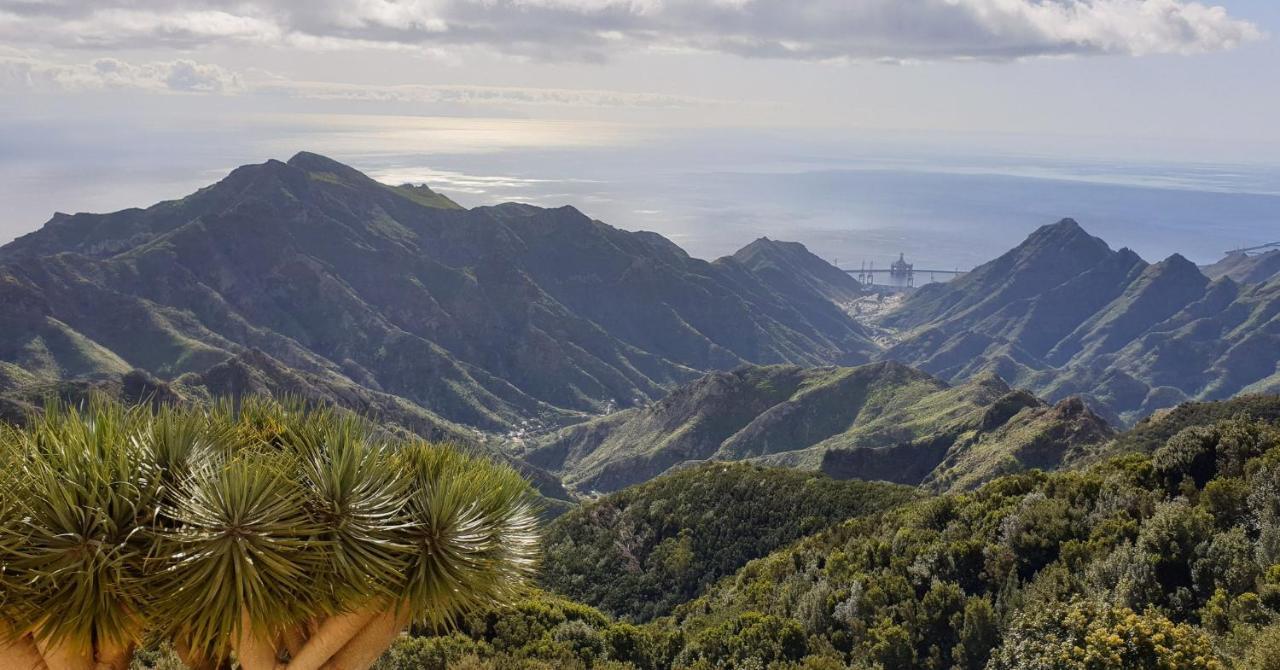 Santa Cruz De Tenerife Toscal Exterior photo